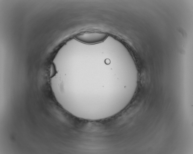 X0000113911496200910151406