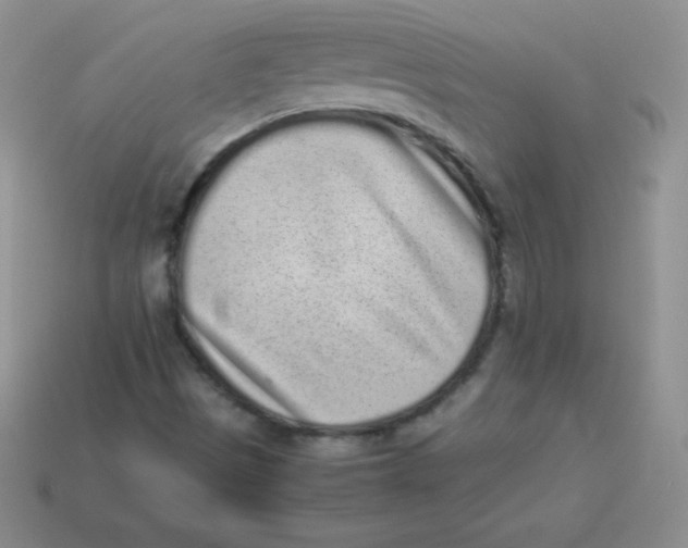 X0000113911497200910151406