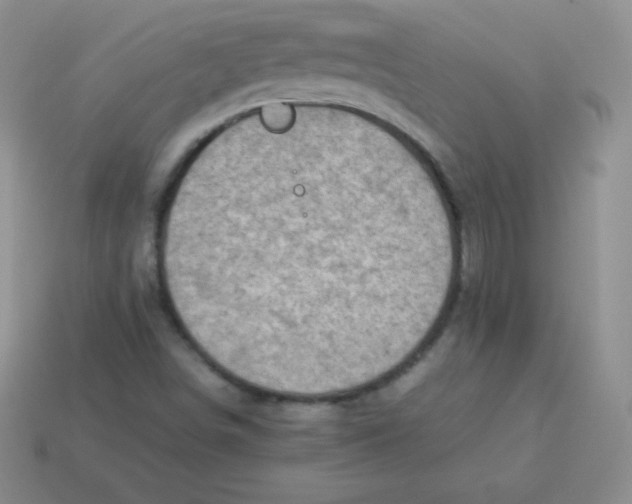 X0000113911498200910151406