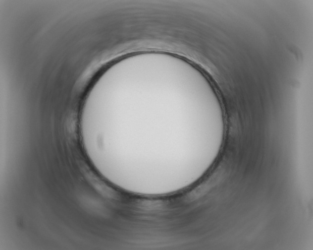 X0000113911499200910151406