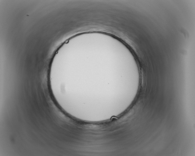 X0000113911500200910151406