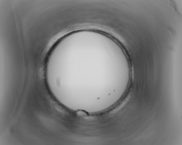 X0000113911501200910151406