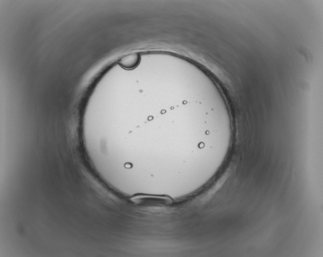 X0000113911502200910151406