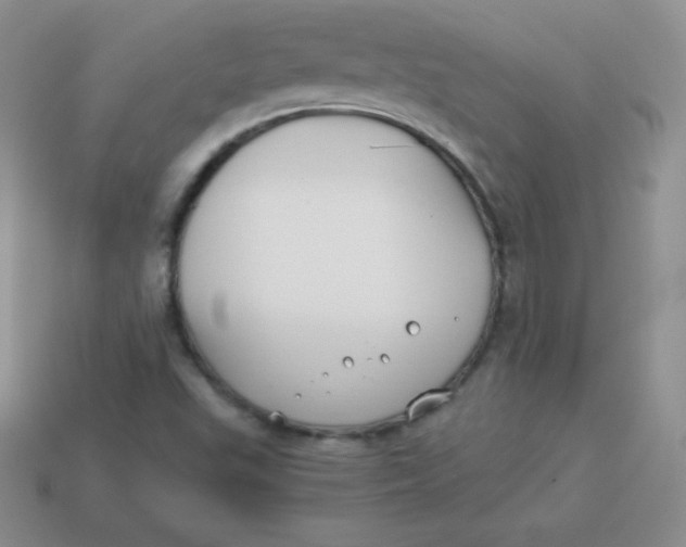 X0000113911503200910151406