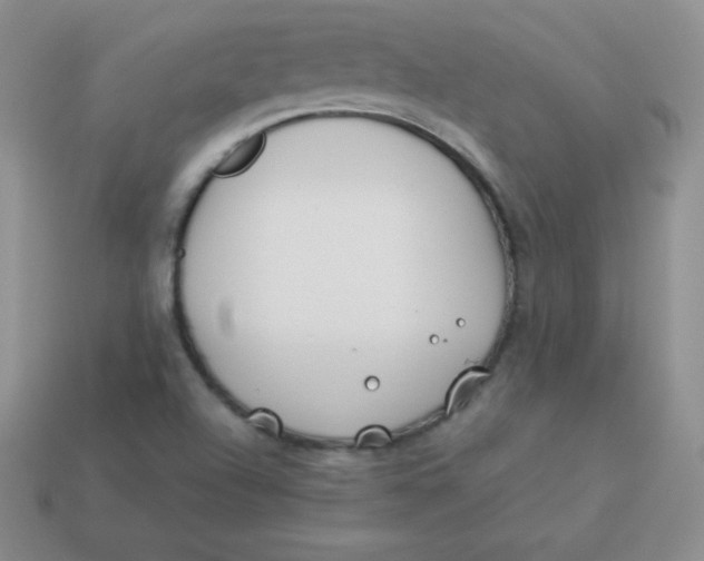 X0000113911504200910151406