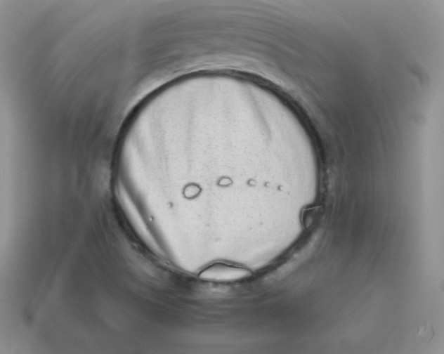 X0000113911505200910151406