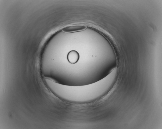 X0000113911506200910151406