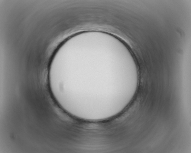 X0000113911507200910151407