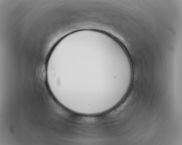 X0000113911509200910151407