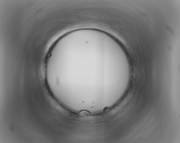 X0000113911510200910151407