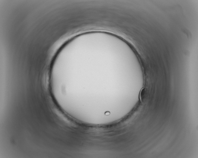 X0000113911511200910151407