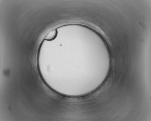 X0000113911512200910151407