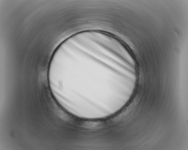 X0000113911513200910151407