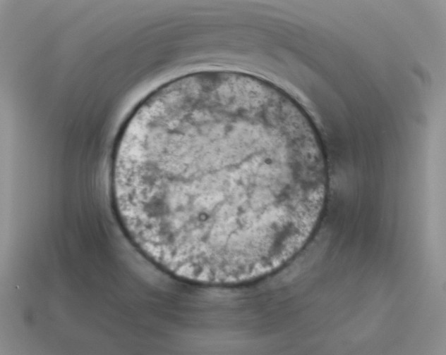 X0000113911514200910151407