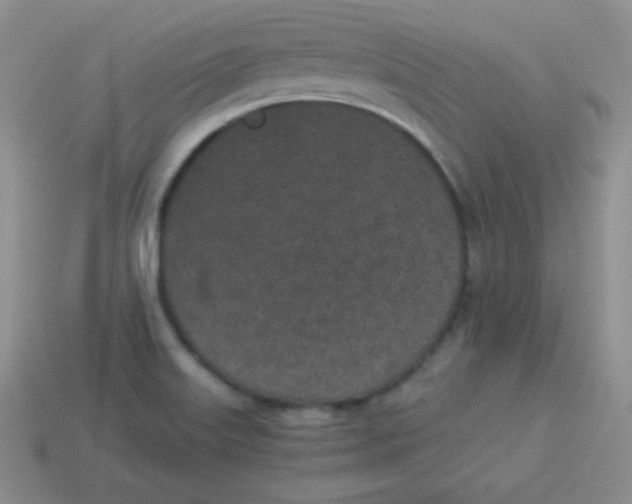 X0000113911515200910151407