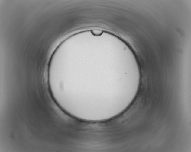 X0000113911516200910151407