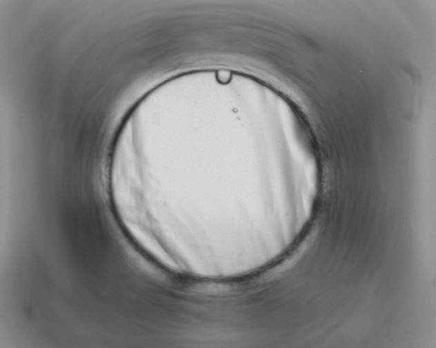 X0000113911517200910151407