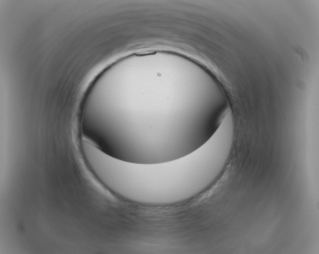 X0000113911518200910151407