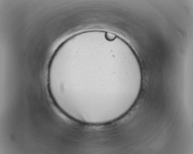 X0000113911519200910151407