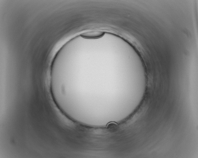 X0000113911520200910151407