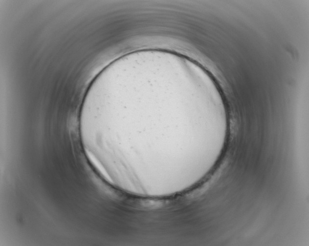 X0000113911521200910151407