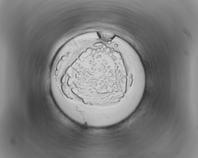 X0000113911522200910151407