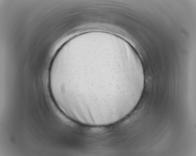 X0000113911523200910151407