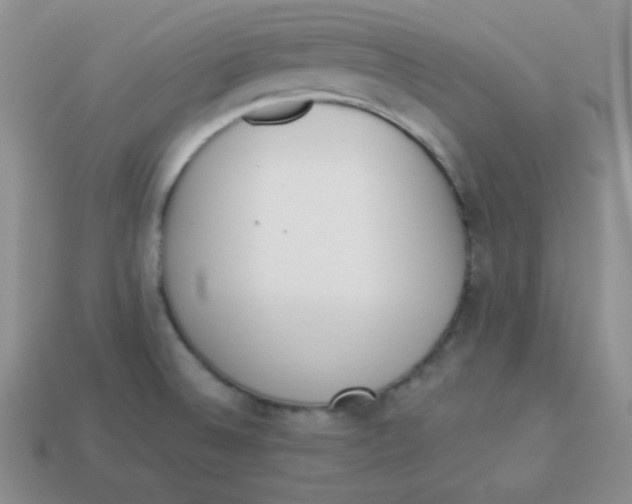 X0000113911524200910151407