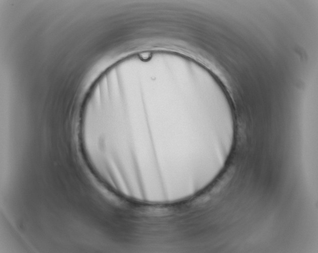 X0000113911525200910151407