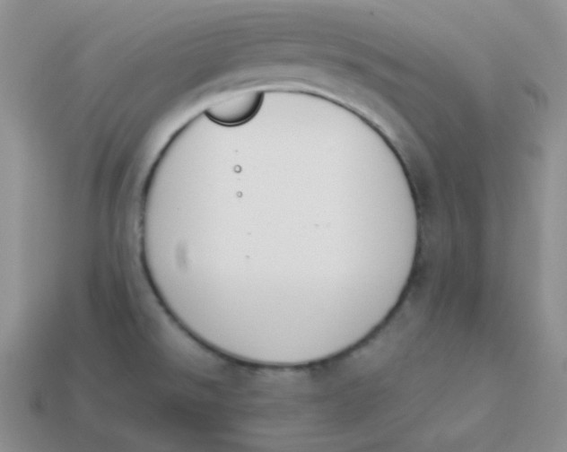 X0000113911526200910151407