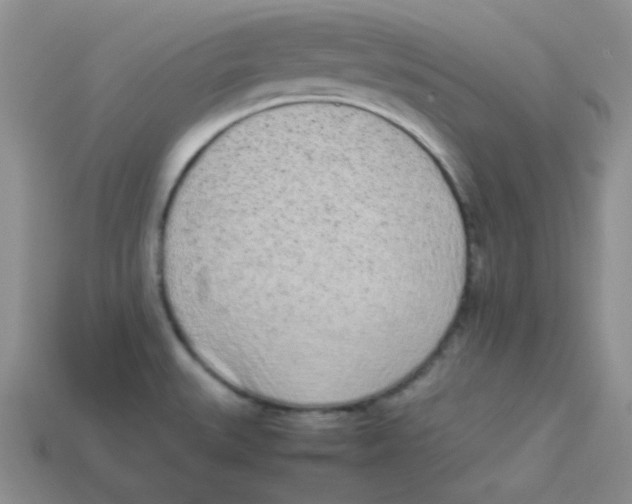 X0000113911527200910151407