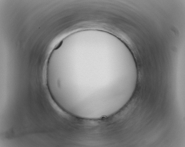 X0000113911528200910151407