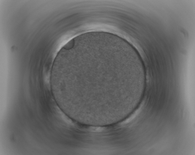 X0000113911529200910151407