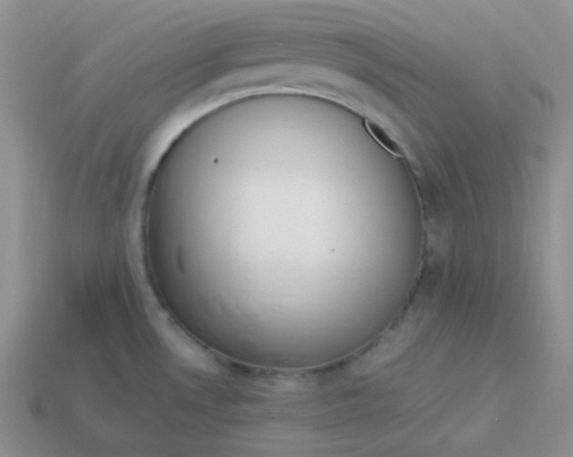 X0000113911530200910151407