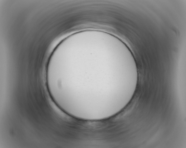 X0000113911531200910151407