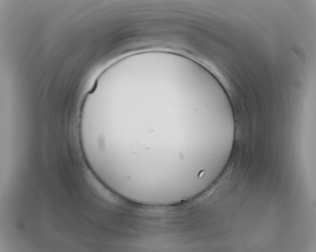 X0000113911532200910151407