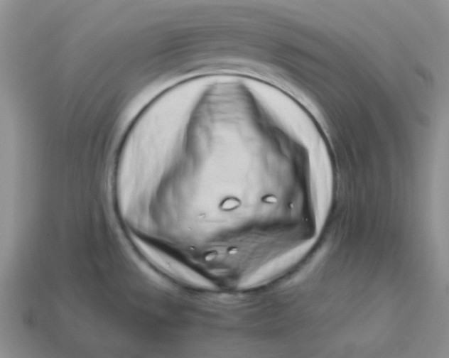 X0000113911533200910151407