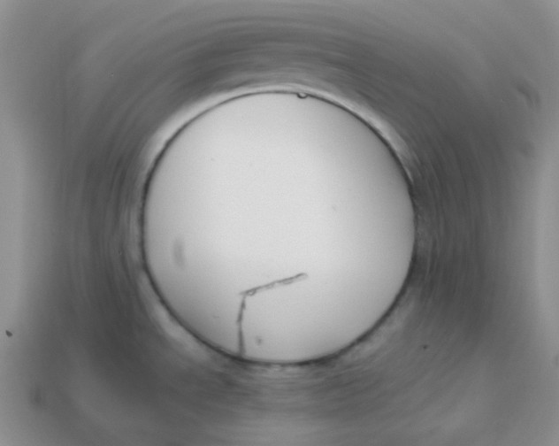 X0000113911534200910151407