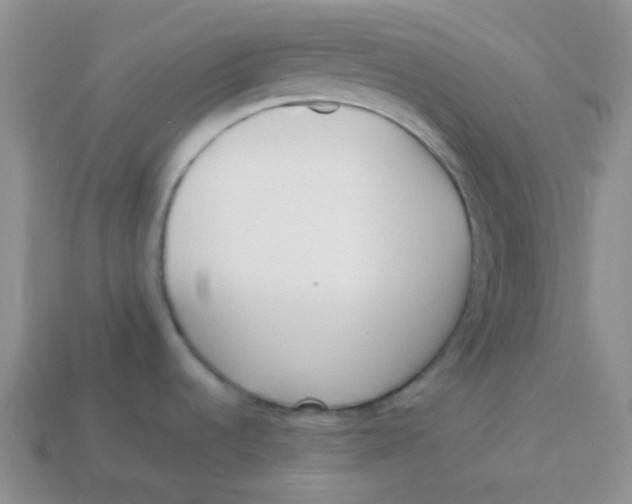 X0000113911536200910151407