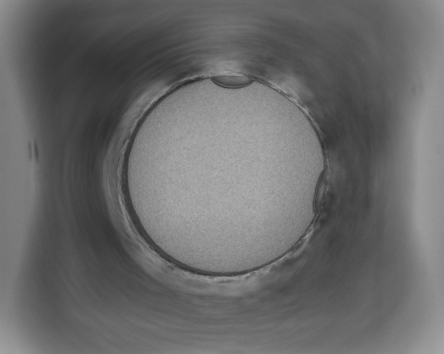 X0000113910001200910221343