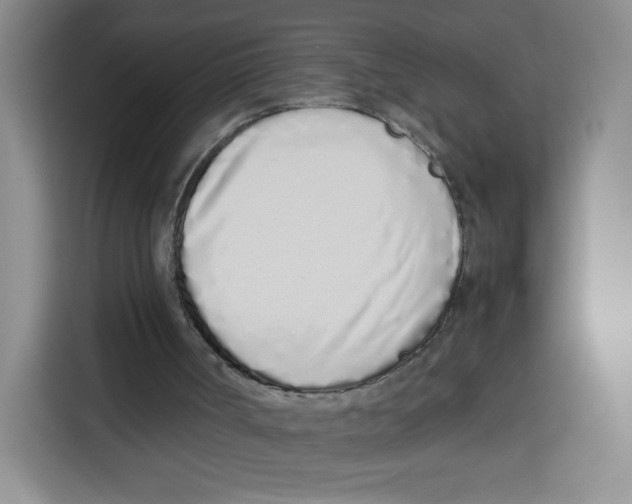 X0000113910002200910221343