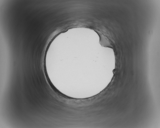 X0000113910003200910221343