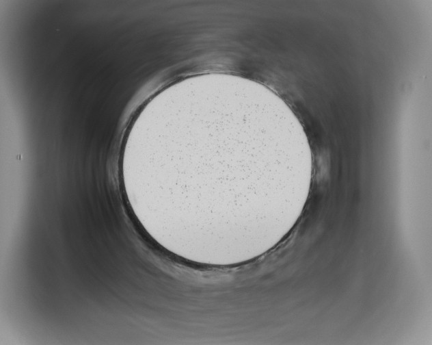 X0000113910004200910221343
