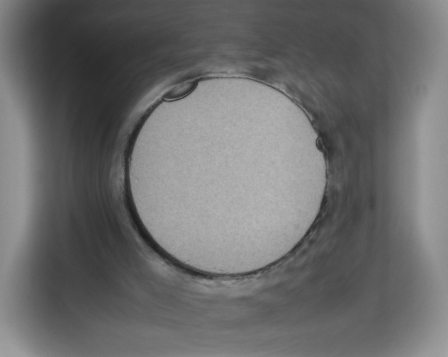 X0000113910005200910221343
