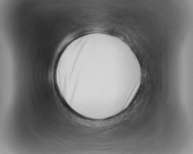 X0000113910006200910221343