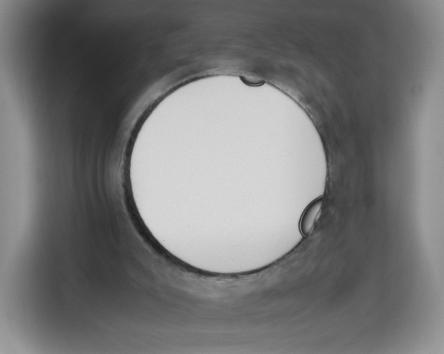 X0000113910007200910221343