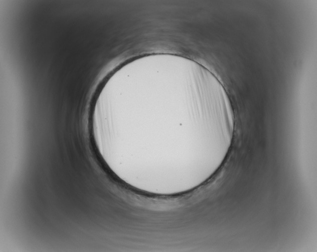 X0000113910008200910221343