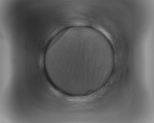 X0000113910009200910221343
