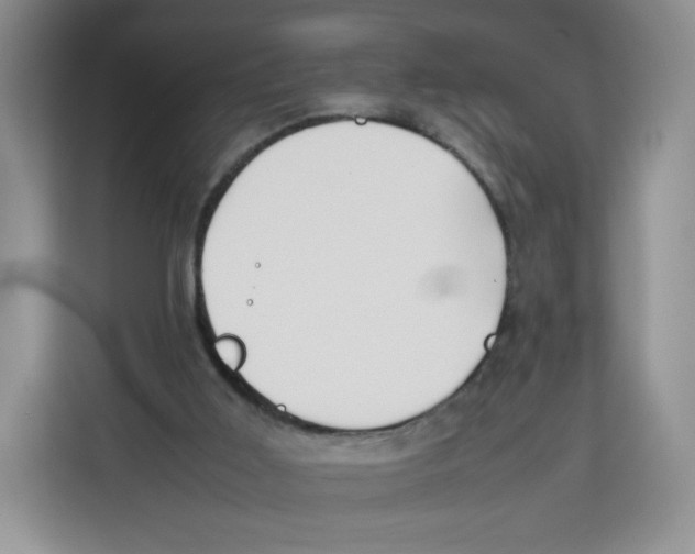 X0000113910011200910221343