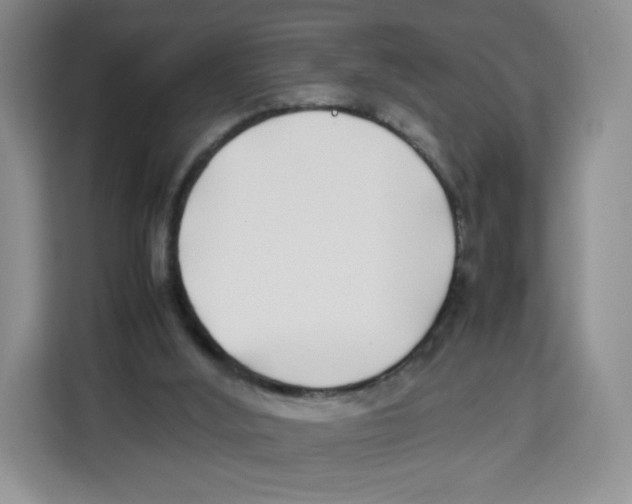 X0000113910012200910221343